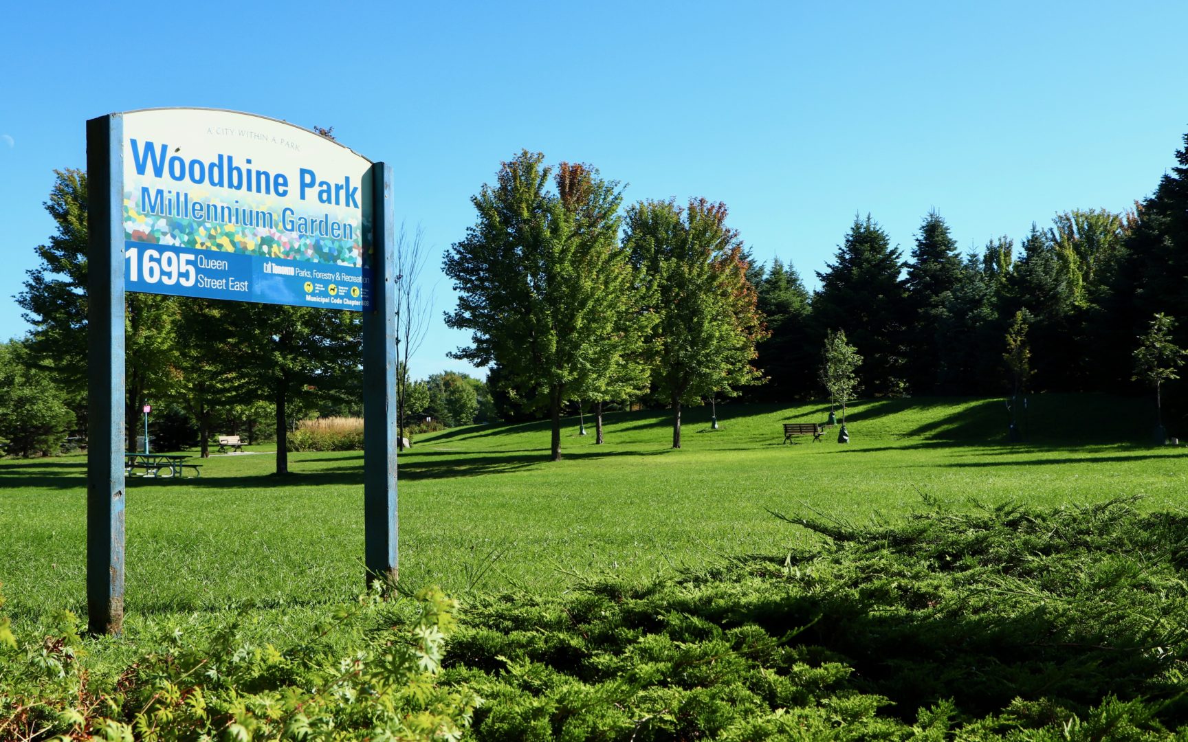 Woodbine Park, Photo by Unknown