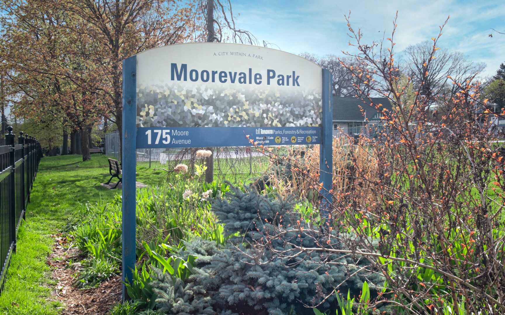 Moorevale Park (c) Photo by Arne Peterson exclusively for SHANE.